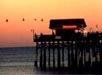 tiki-bar/Cocoa-Beach-Pier